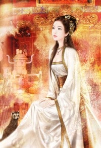 医品狂婿