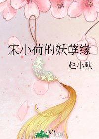 宋小荷的妖孽緣